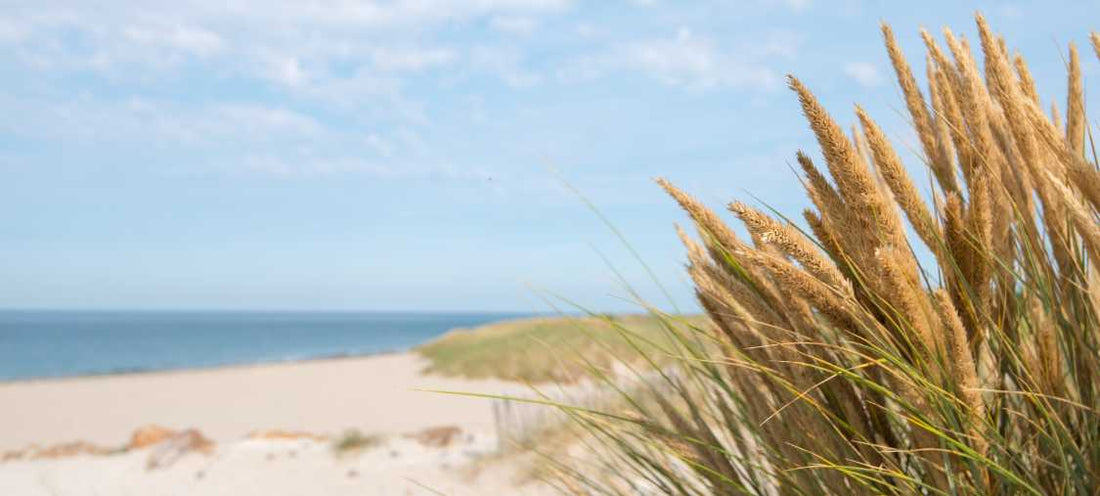 Des nouvelles du parc éolien en mer des îles dYeu et de Noirmoutier Vinsenk prod