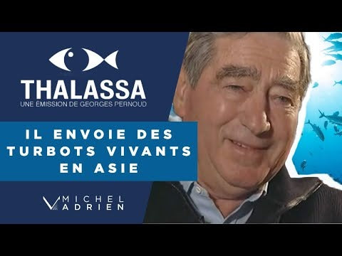 Charger la vidéo : Et Si La Mer Était Vide - Michel Adrien adresse dans cette conférence les conditions de la ressource halieutique en 2009, et la desertation des océans, qu&#39;il a pu constater au fil de sa carrière de marin pêcheur puis dirigeant de son groupe international d&#39;armement. Un récit sans faux semblants et plein de d&#39;espoir.  Plongez dans l&#39;univers de Michel Adrien et ses 4 ouvrages publiés entre 2017 et 2022 sur michel-adrien.com